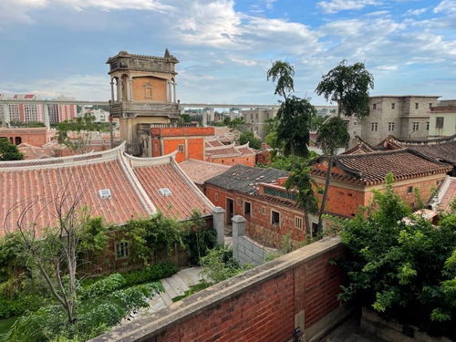 梧林南洋夢 起大厝與實業(yè)報國的家國情懷