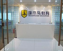 啄木鳥教育 無資質(zhì)留學(xué)中介服務(wù)背后的自費(fèi)留學(xué)隱憂